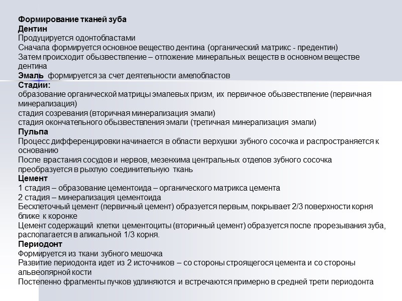 Формирование тканей зуба Дентин  Продуцируется одонтобластами Сначала формируется основное вещество дентина (органический матрикс